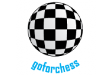 Go-For-Chess-1aa746dcd26bb123bf72b580366eb835